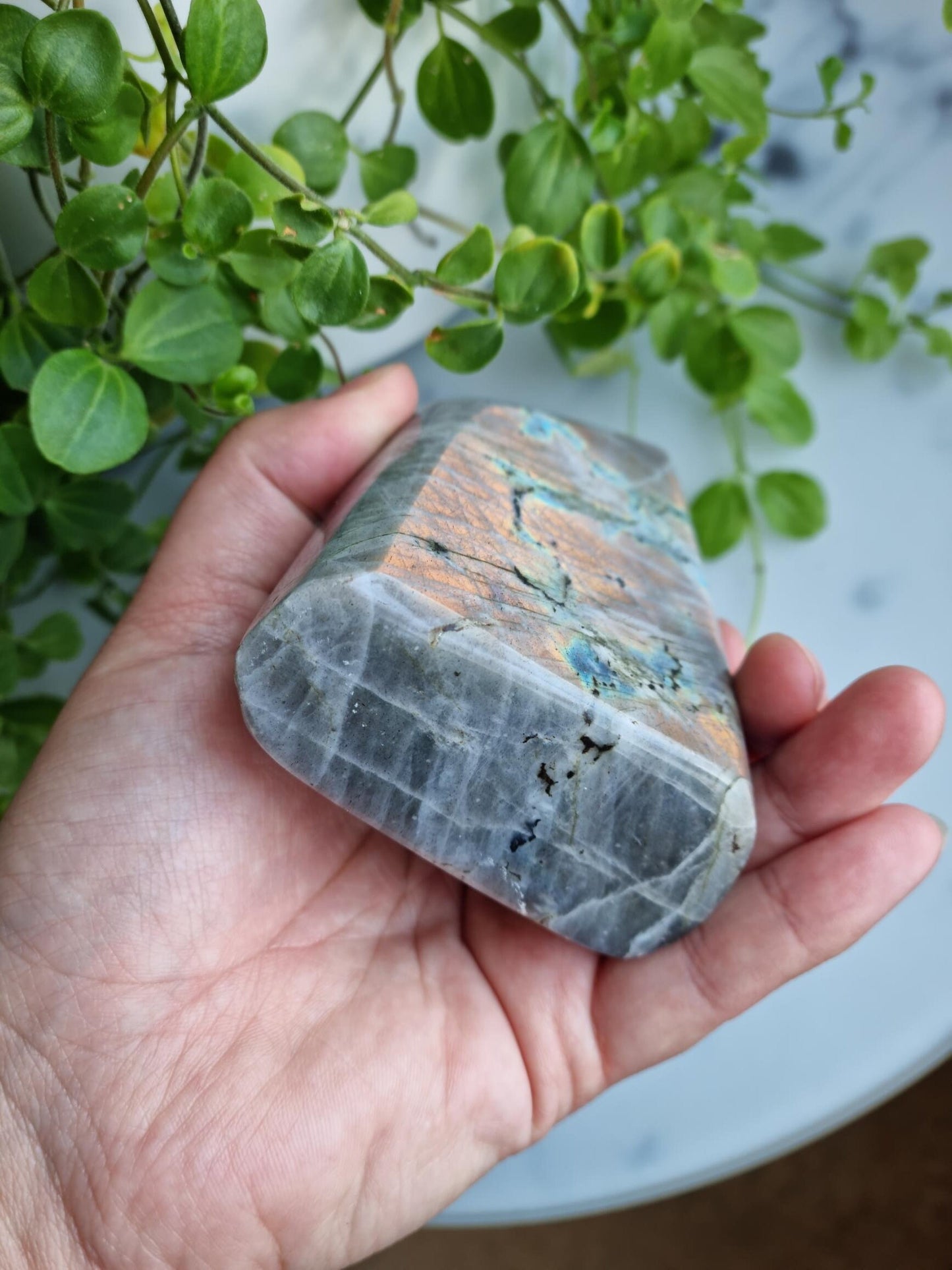 Sunset Flash Labradorite Freeform