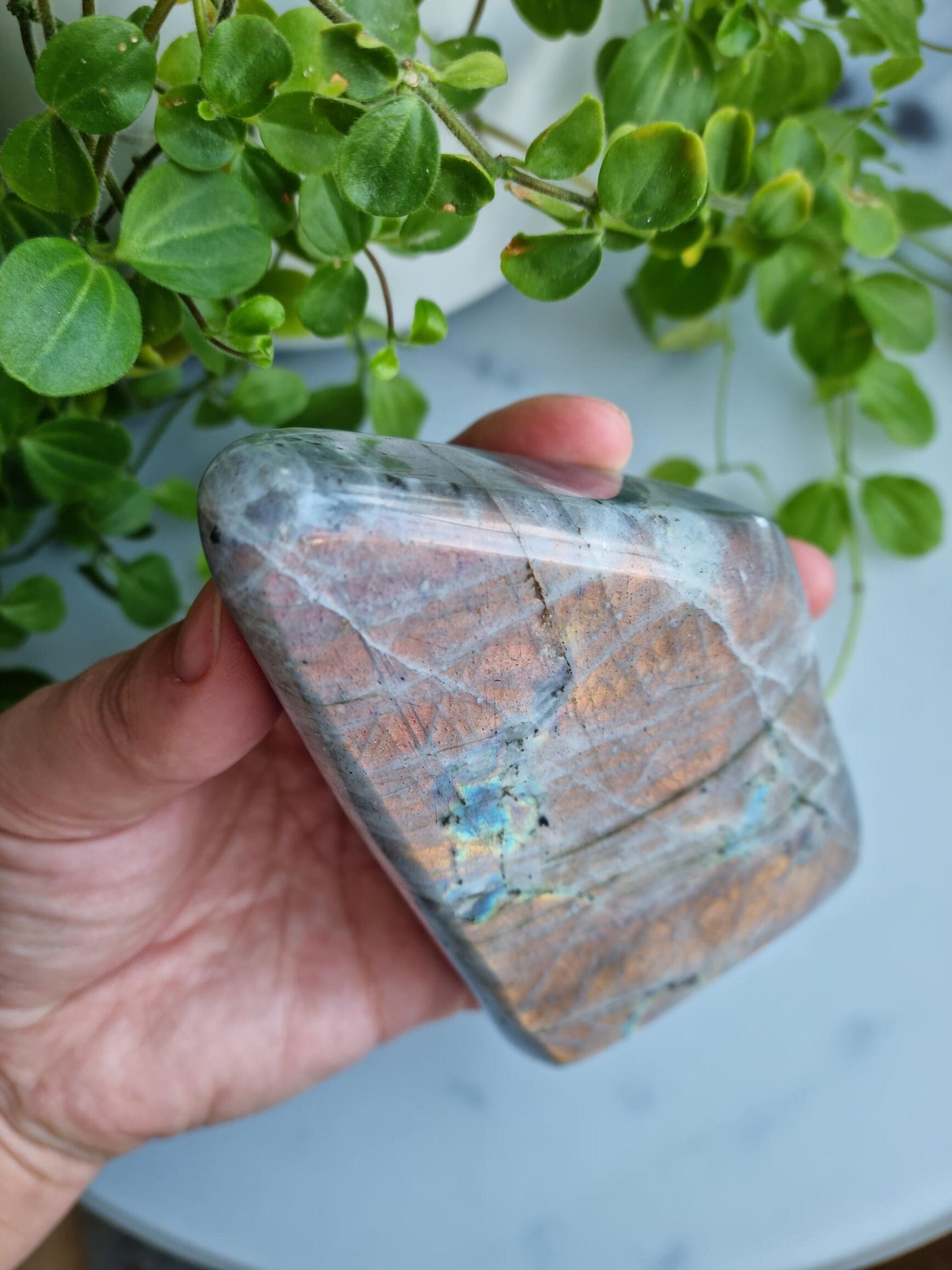 Sunset Flash Labradorite Freeform