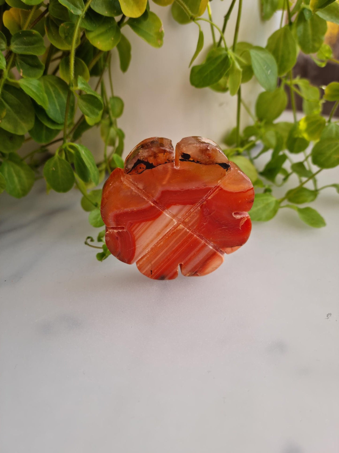 Beautiful Banded Carnelian Clover Carving, Imperfect