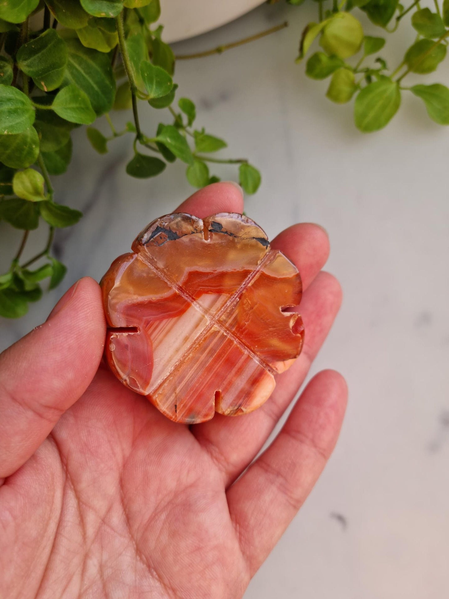 Beautiful Banded Carnelian Clover Carving, Imperfect