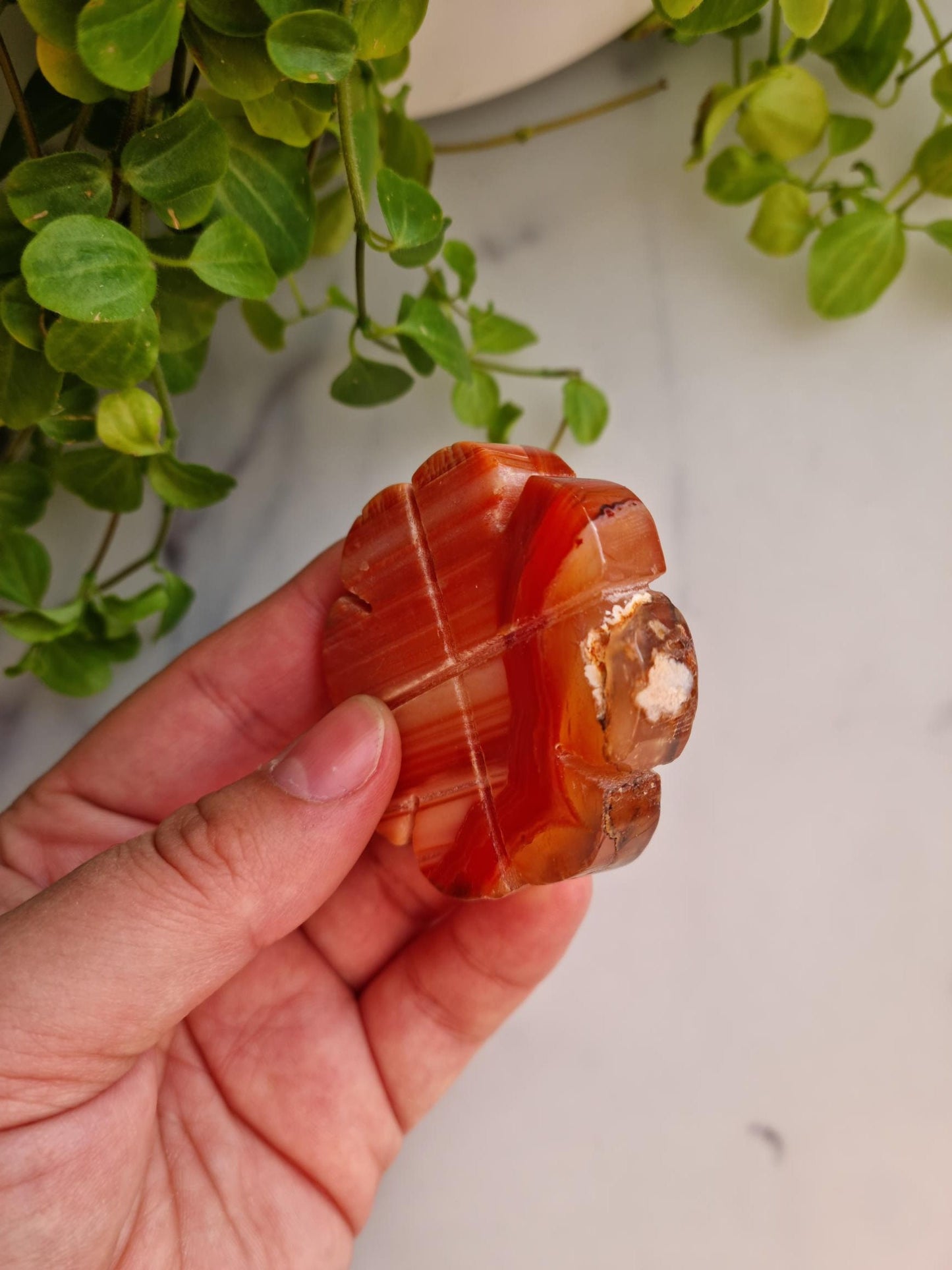 Beautiful Banded Carnelian Clover Carving, Imperfect