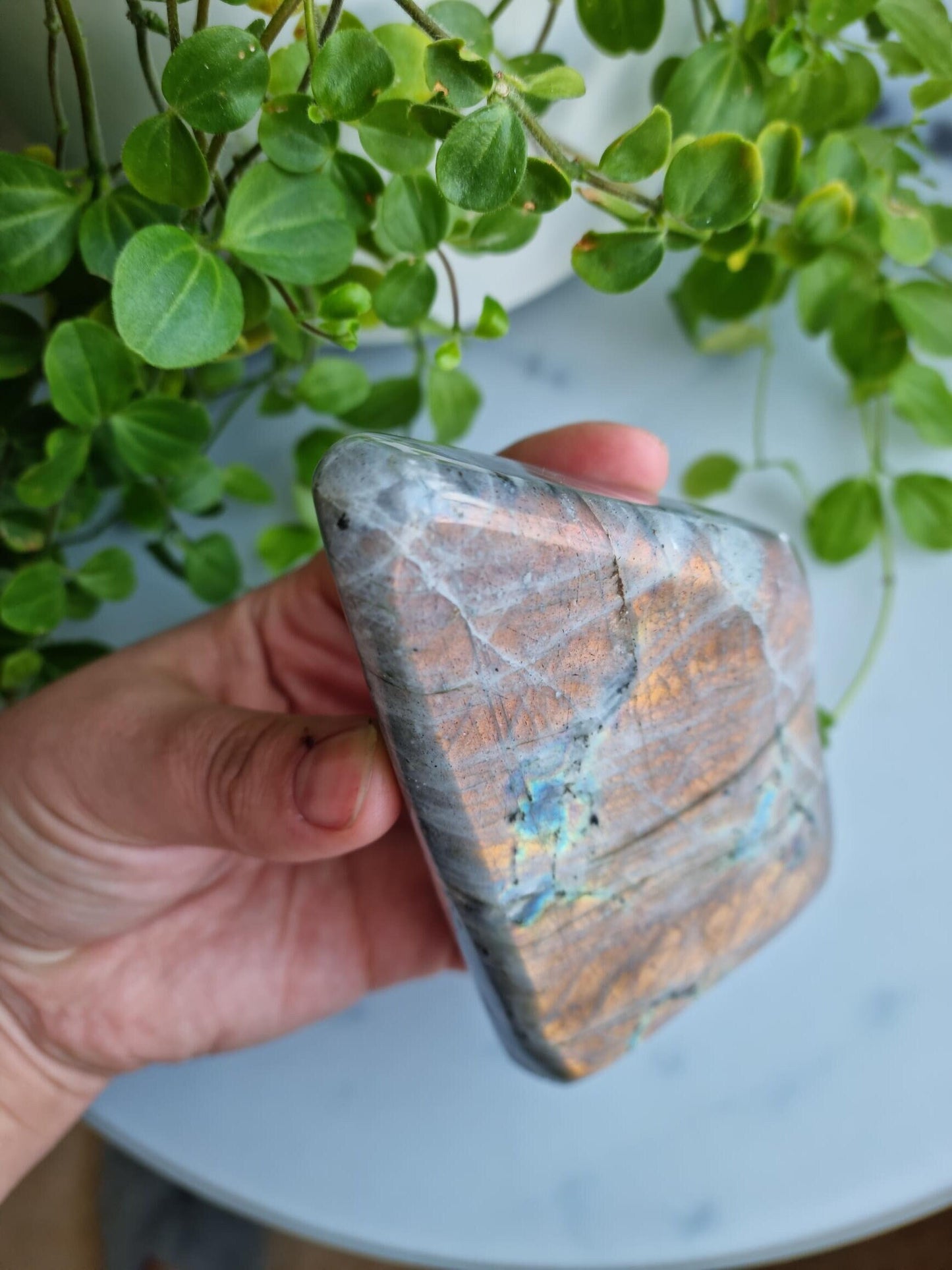 Sunset Flash Labradorite Freeform