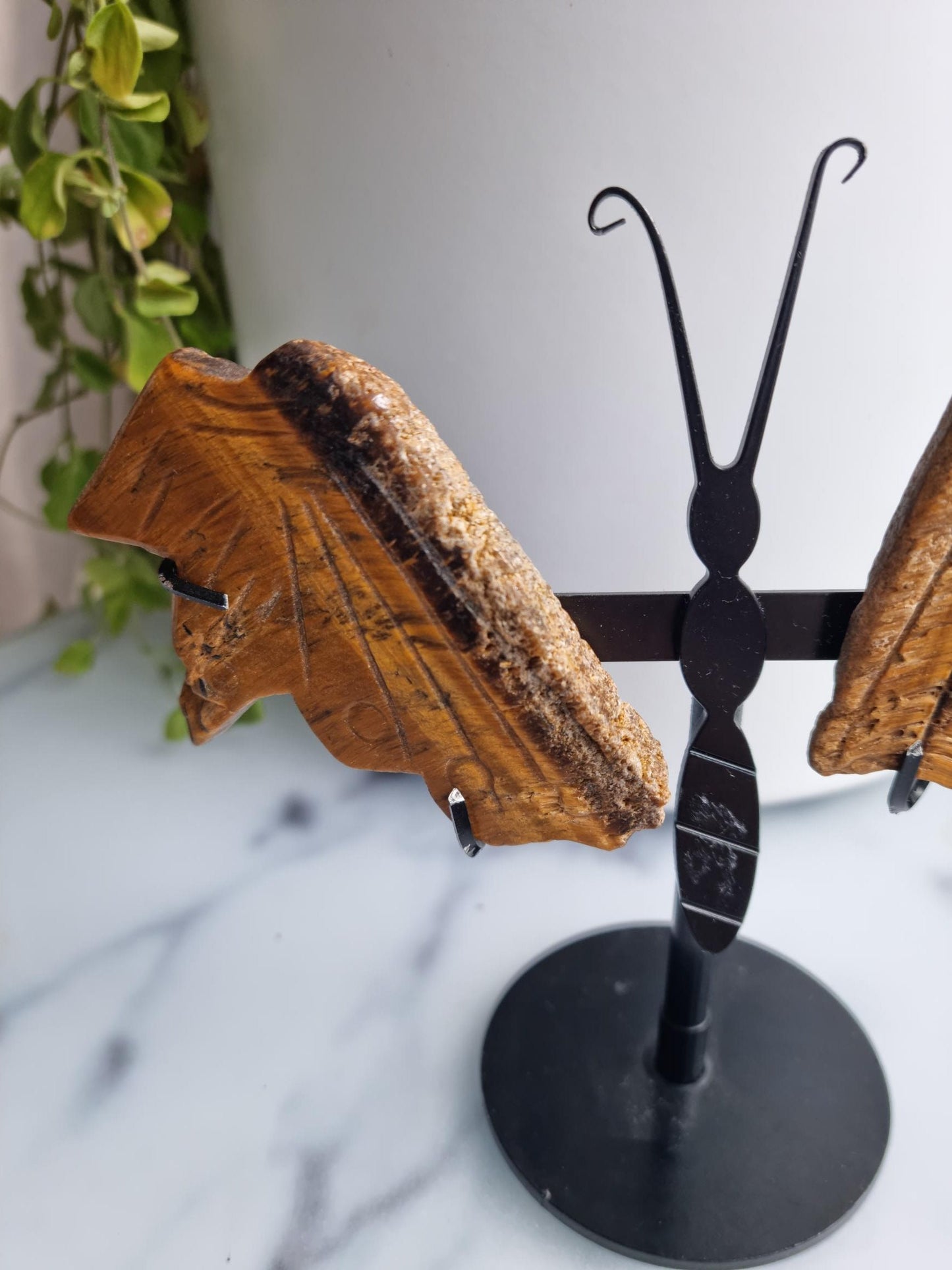 Tiger's Eye Butterfly Wings on A Stand, (Imperfect)