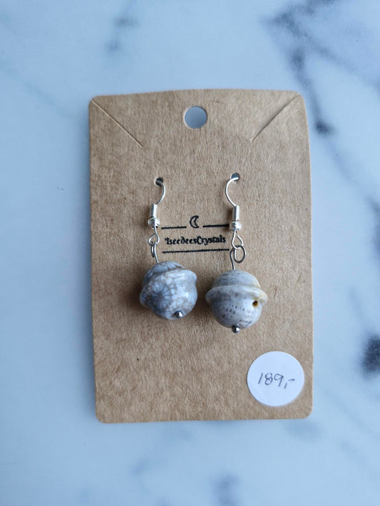 Stainless Steel Silver "Coral Jasper Planet" Earrings