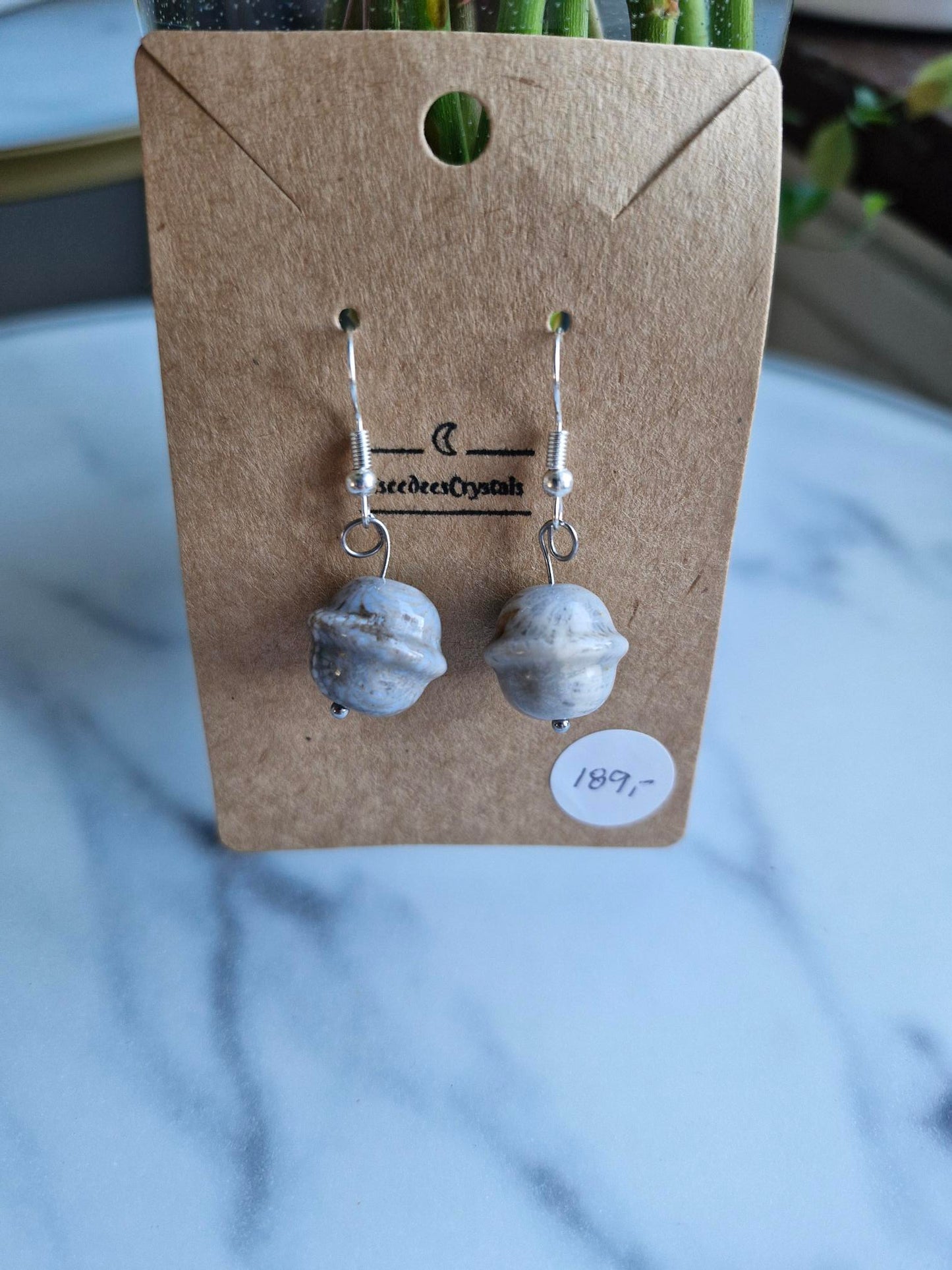 Stainless Steel Silver "Coral Jasper Planet" Earrings