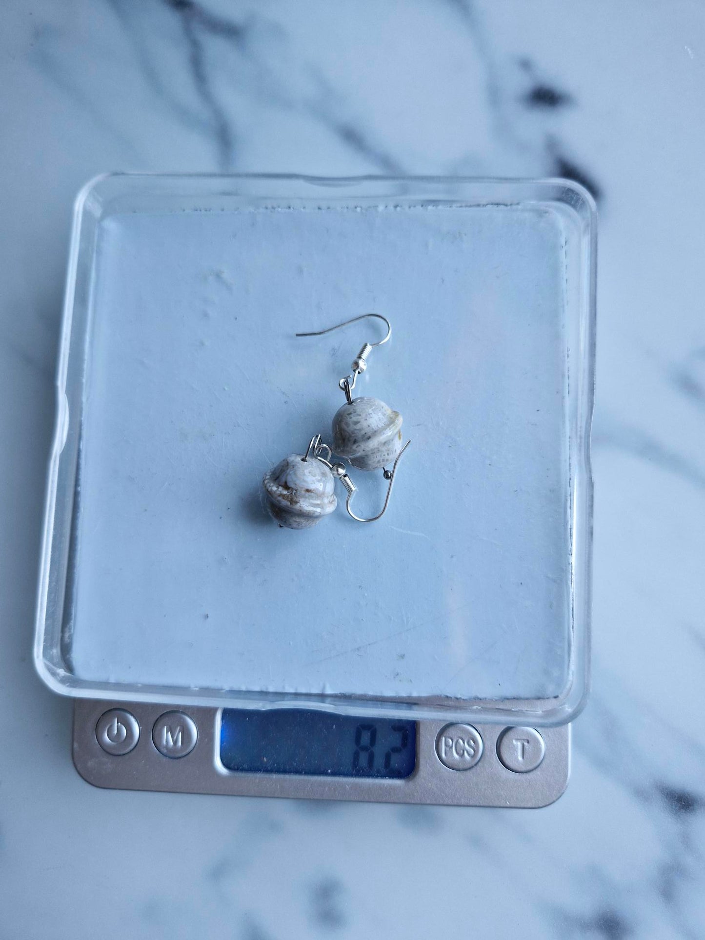 Stainless Steel Silver "Coral Jasper Planet" Earrings