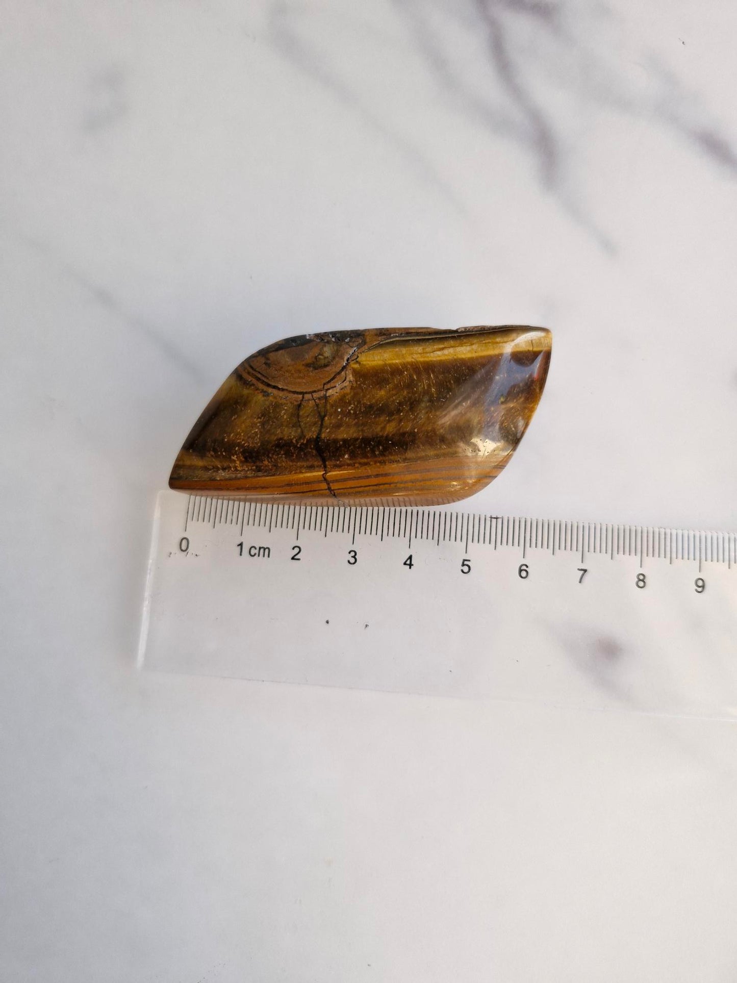 Tigers Eye Freeform