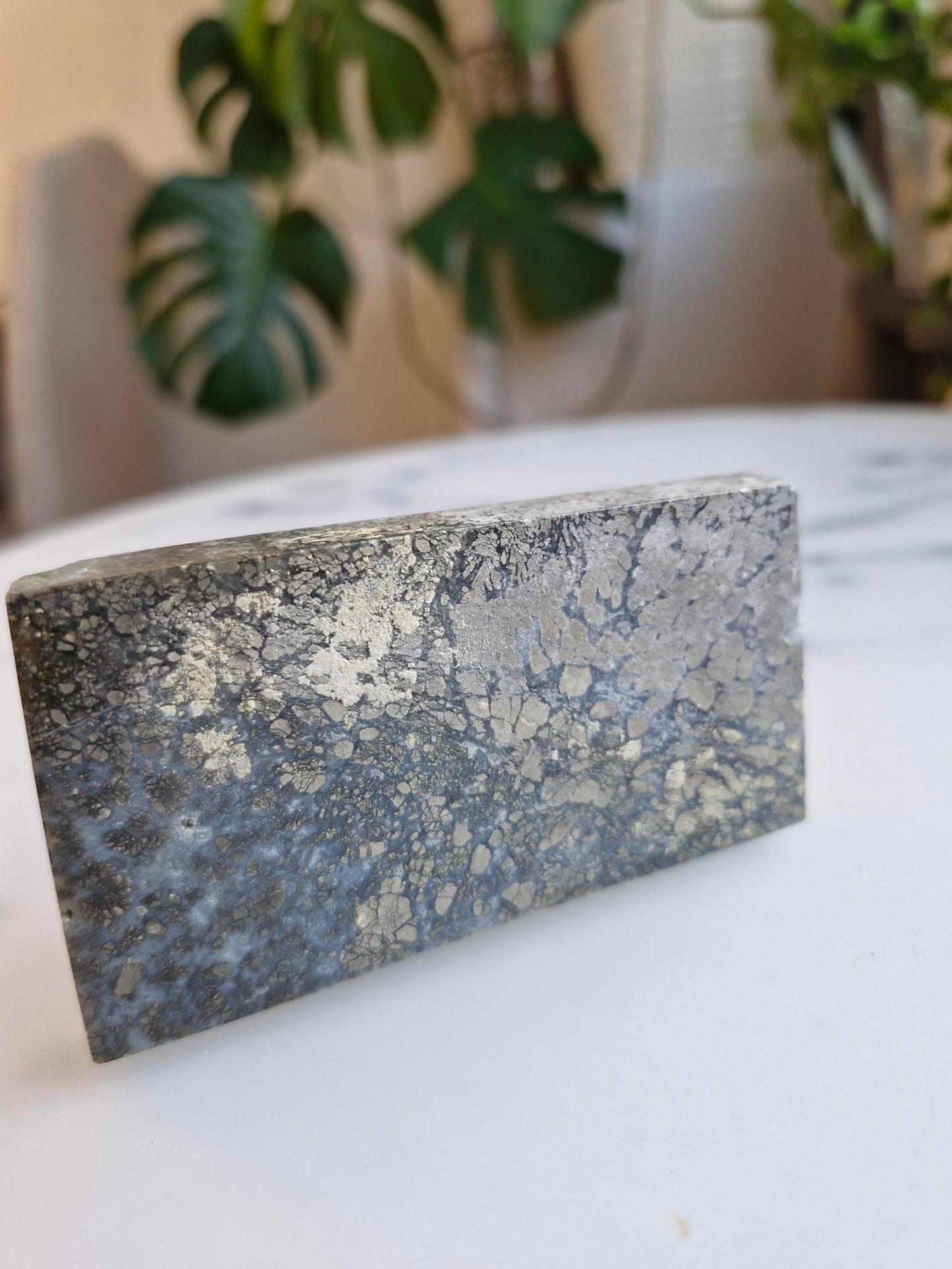 Amazing slab featuring golden pyrite/marcasite with 'flower' textures and healed fractures with pale blue banded quartz infills