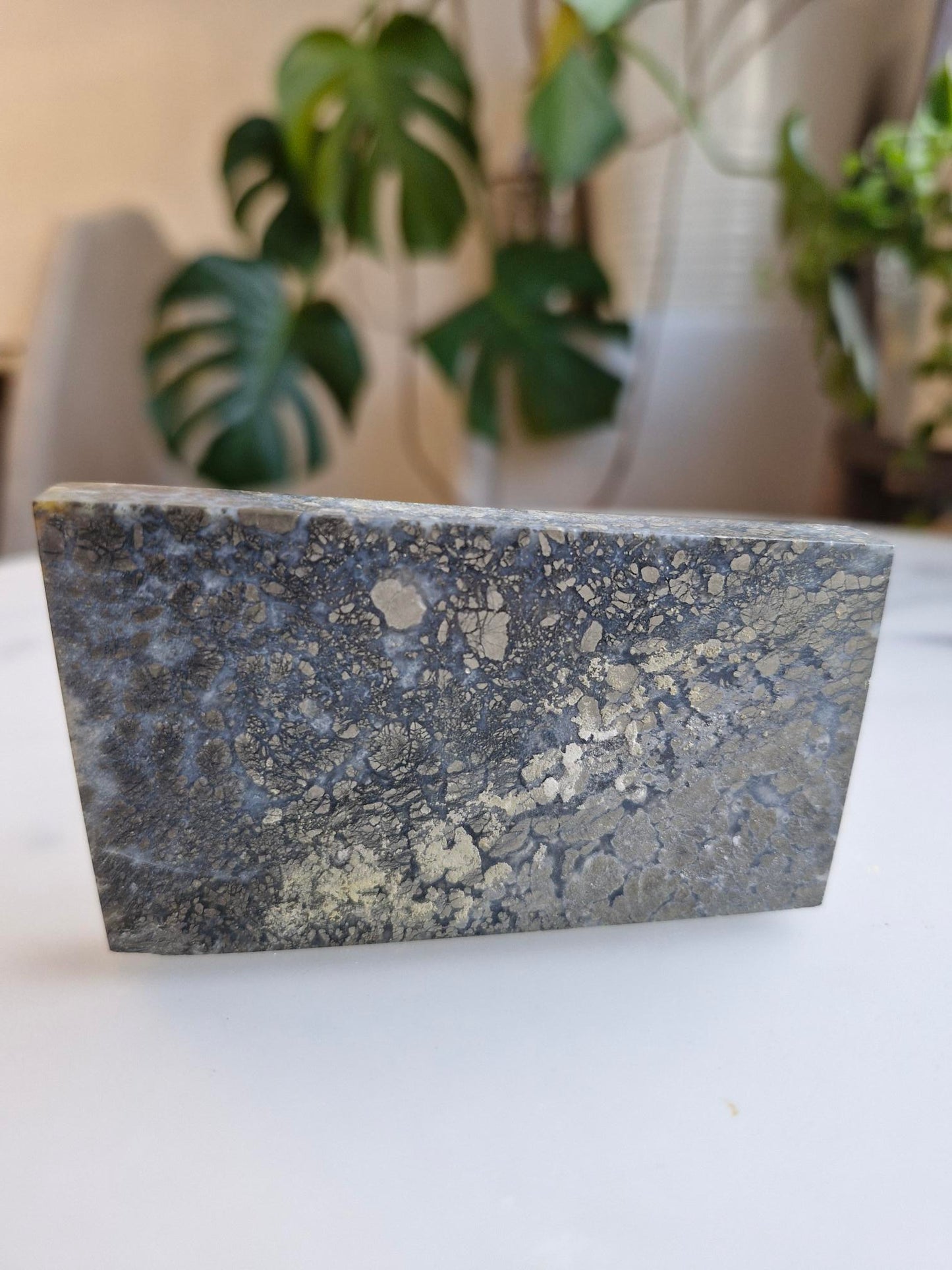 Amazing slab featuring golden pyrite/marcasite with 'flower' textures and healed fractures with pale blue banded quartz infills