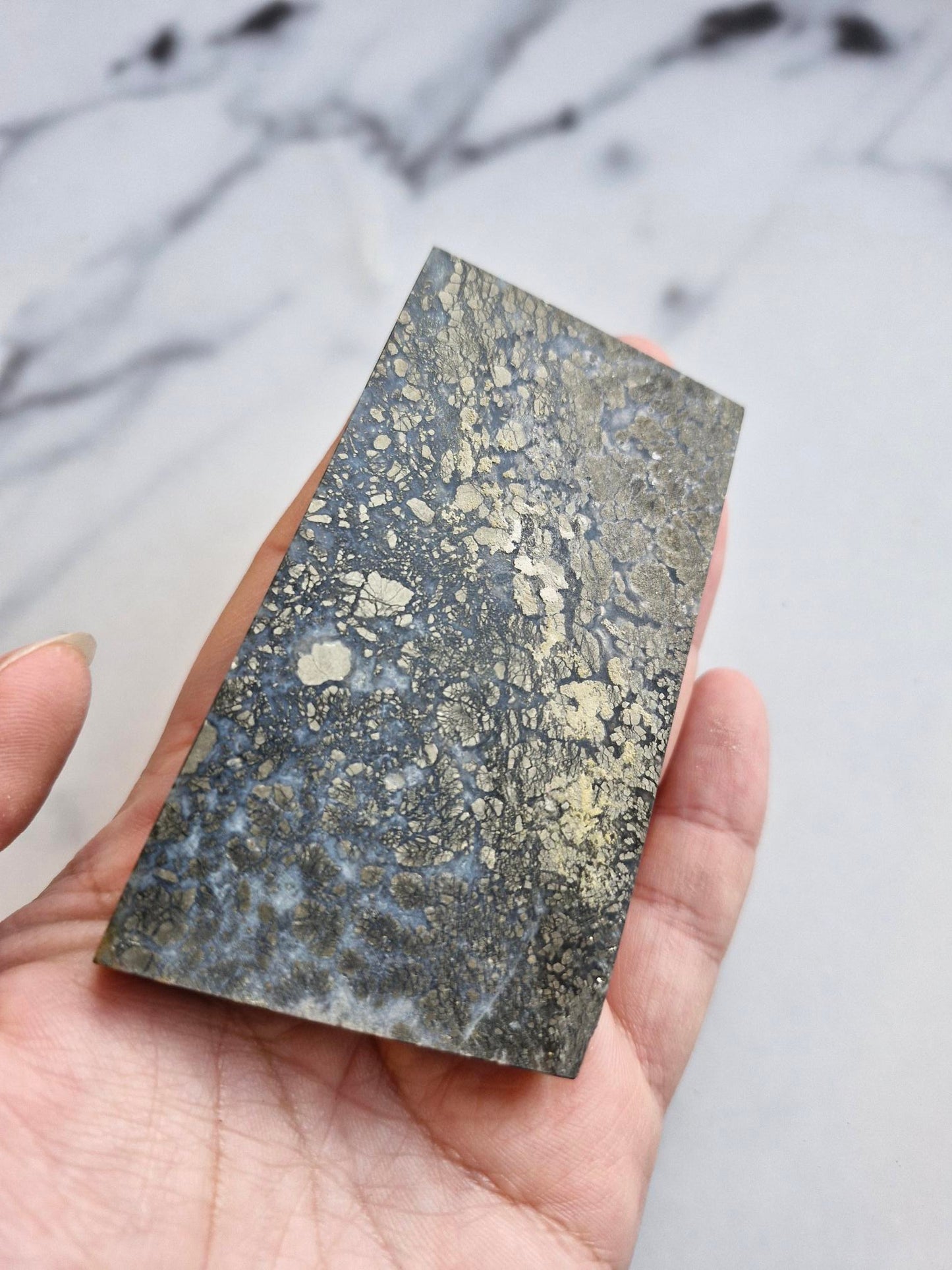 Amazing slab featuring golden pyrite/marcasite with 'flower' textures and healed fractures with pale blue banded quartz infills