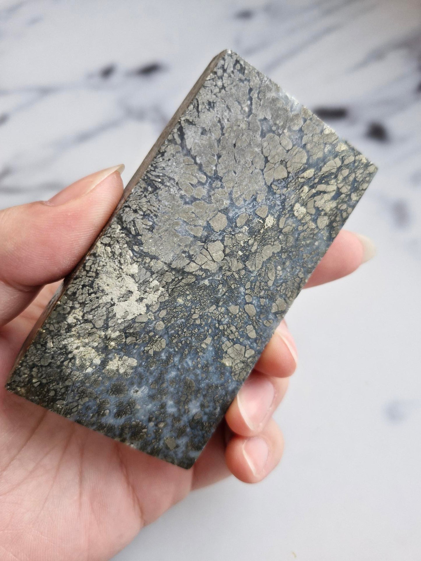 Amazing slab featuring golden pyrite/marcasite with 'flower' textures and healed fractures with pale blue banded quartz infills
