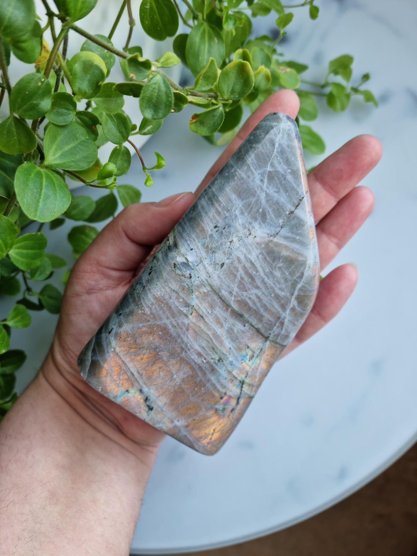 Sunset Flash Labradorite Freeform