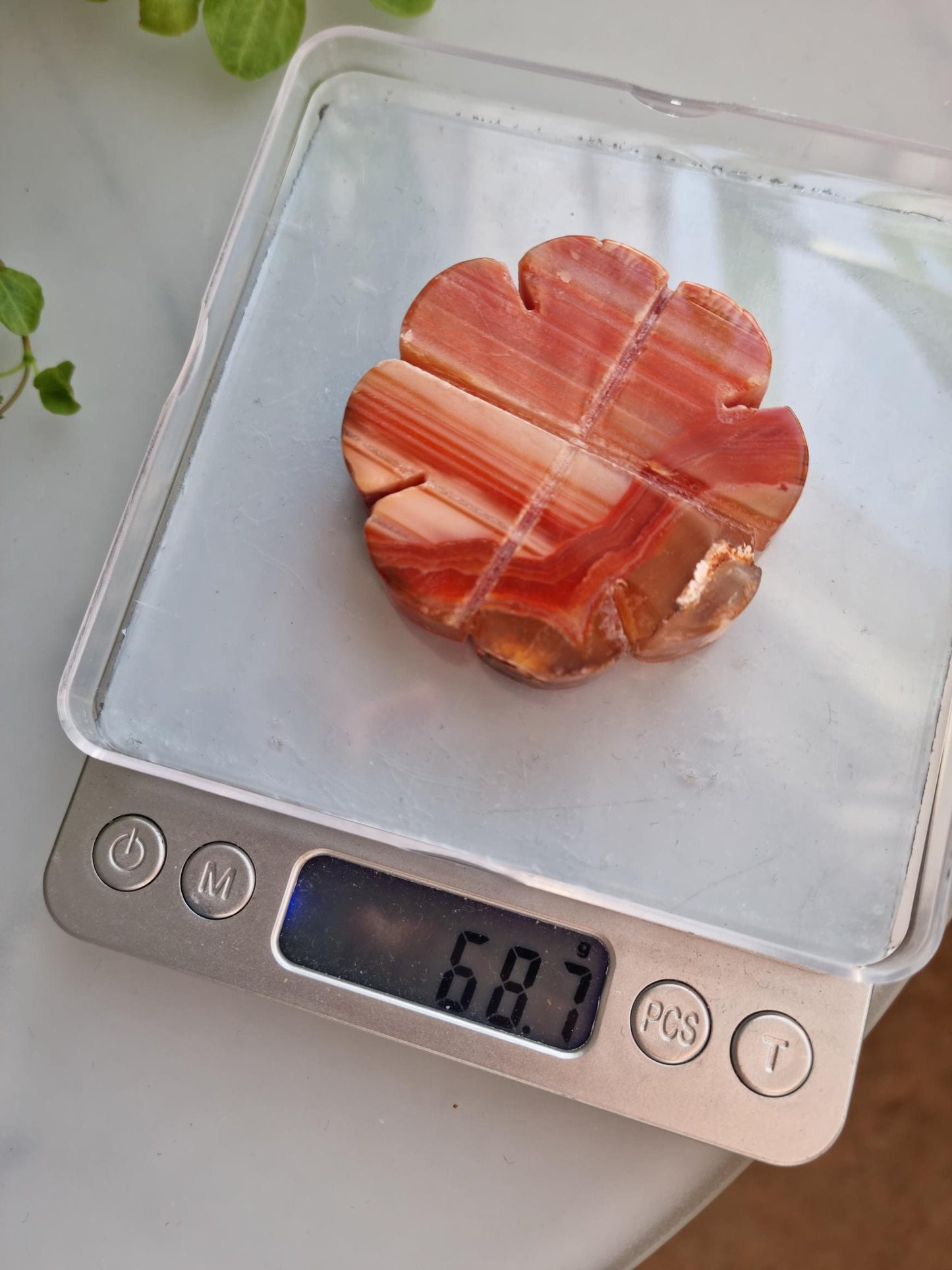 Beautiful Banded Carnelian Clover Carving, Imperfect