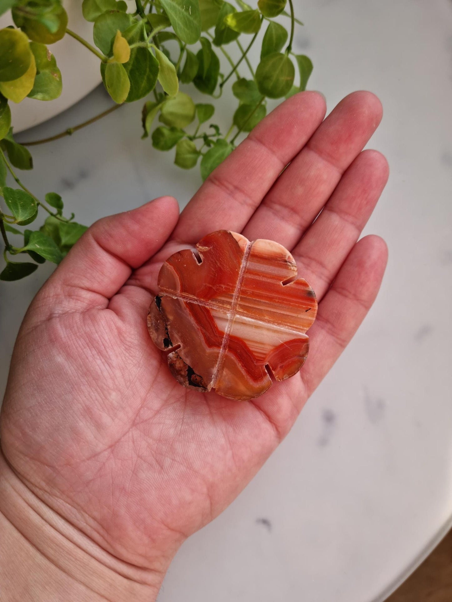 Beautiful Banded Carnelian Clover Carving, Imperfect