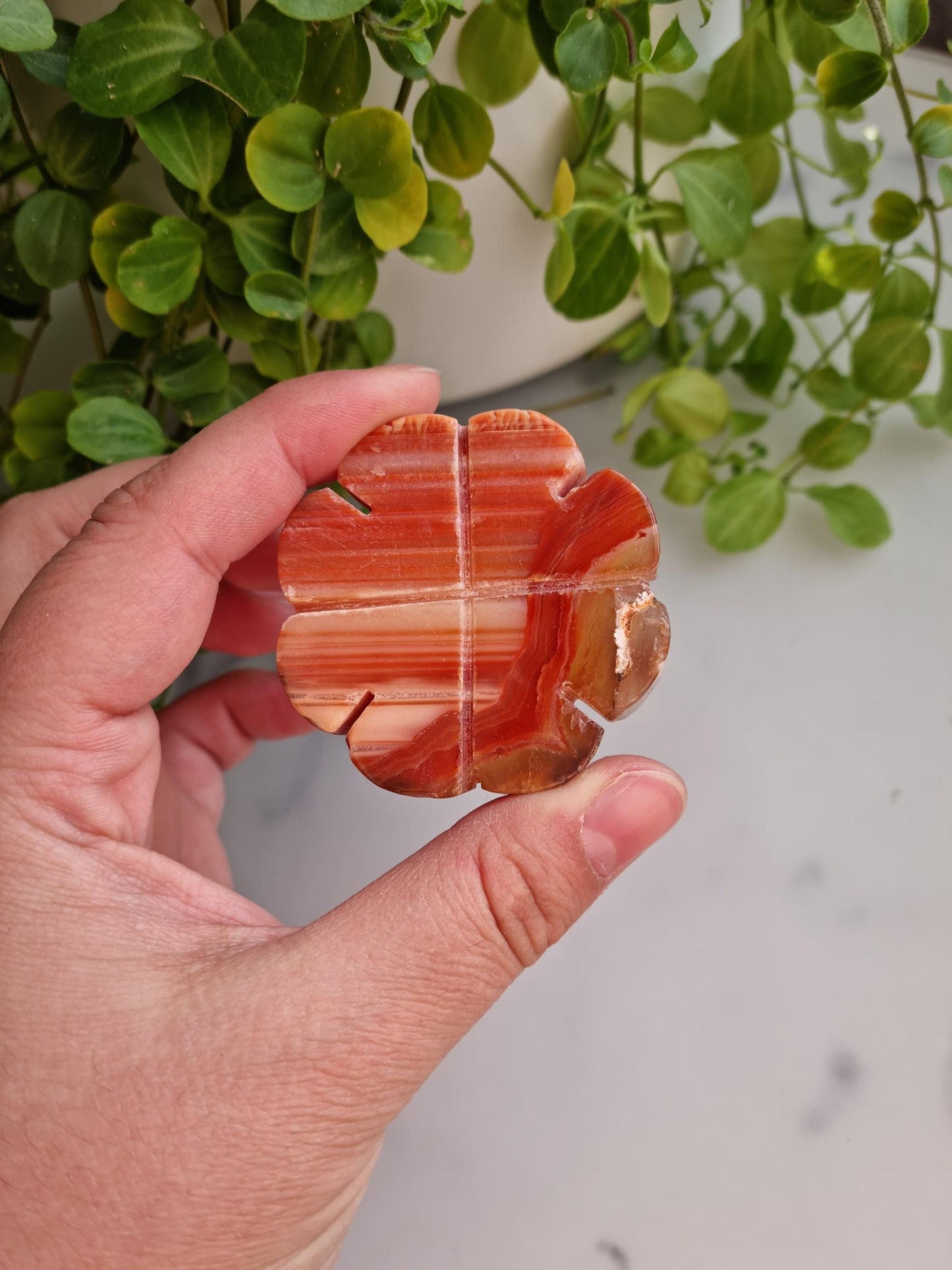 Beautiful Banded Carnelian Clover Carving, Imperfect