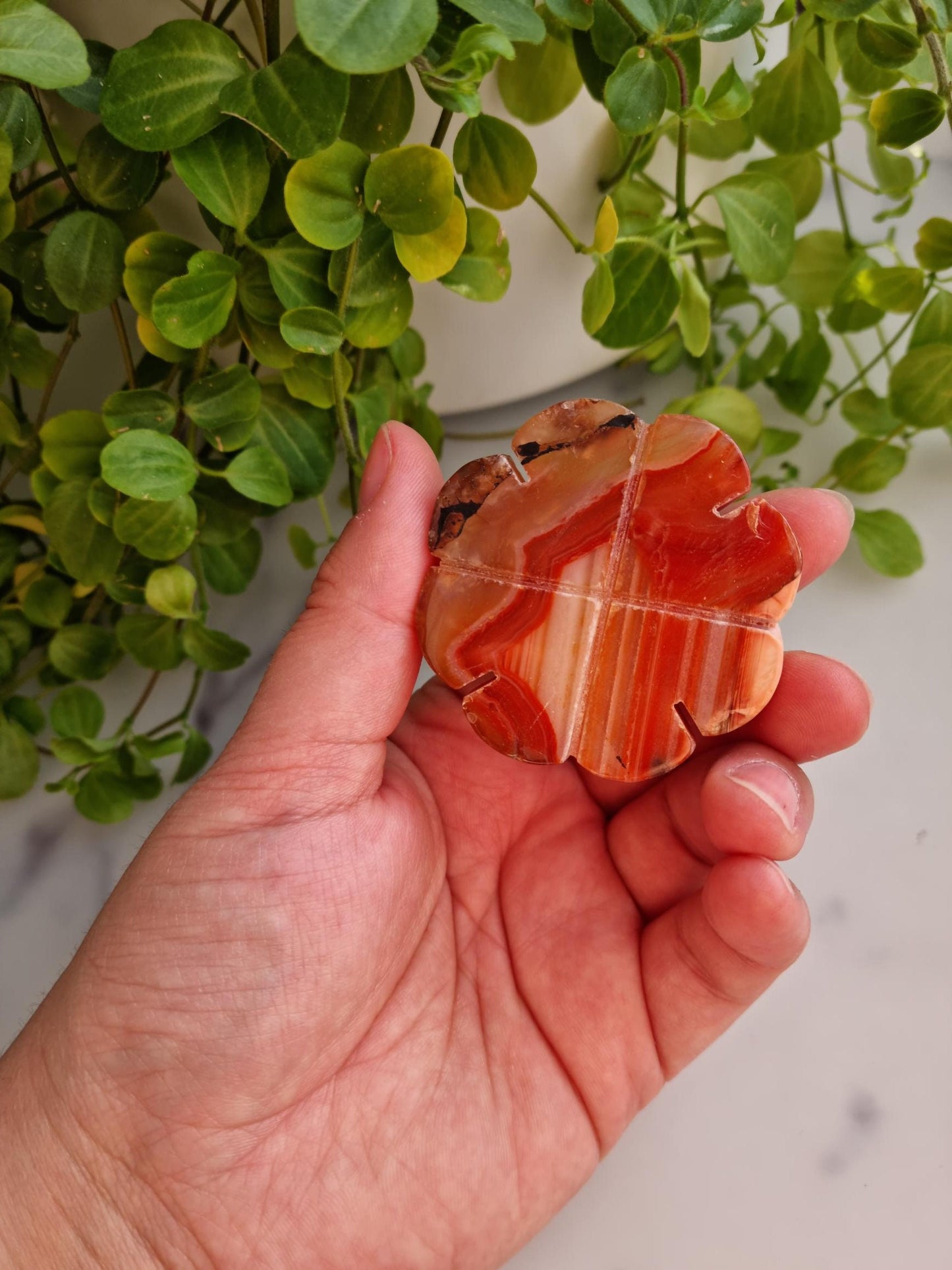 Beautiful Banded Carnelian Clover Carving, Imperfect