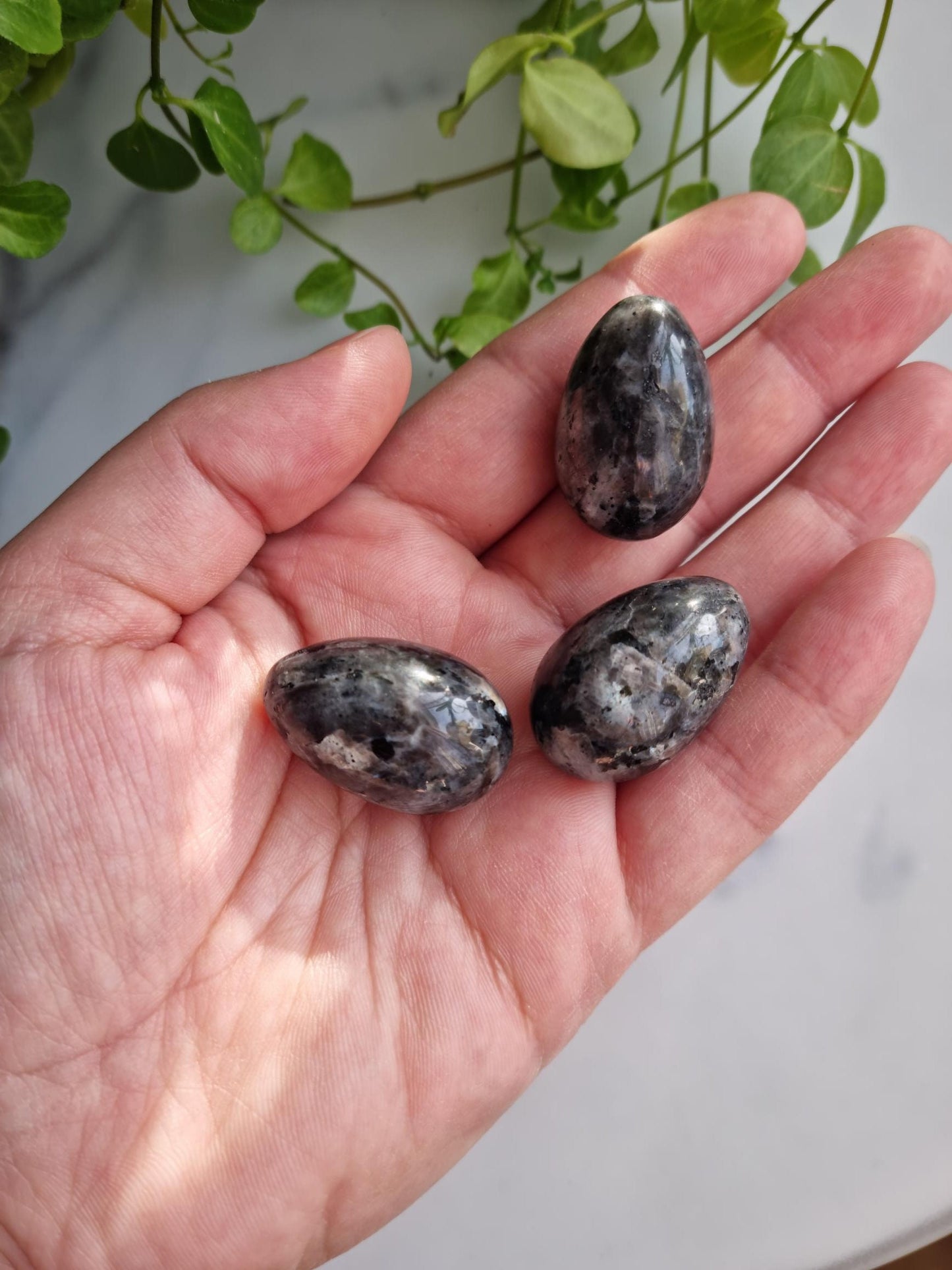 One (1) Gorgeous Larvikite Egg with Silver Flash
