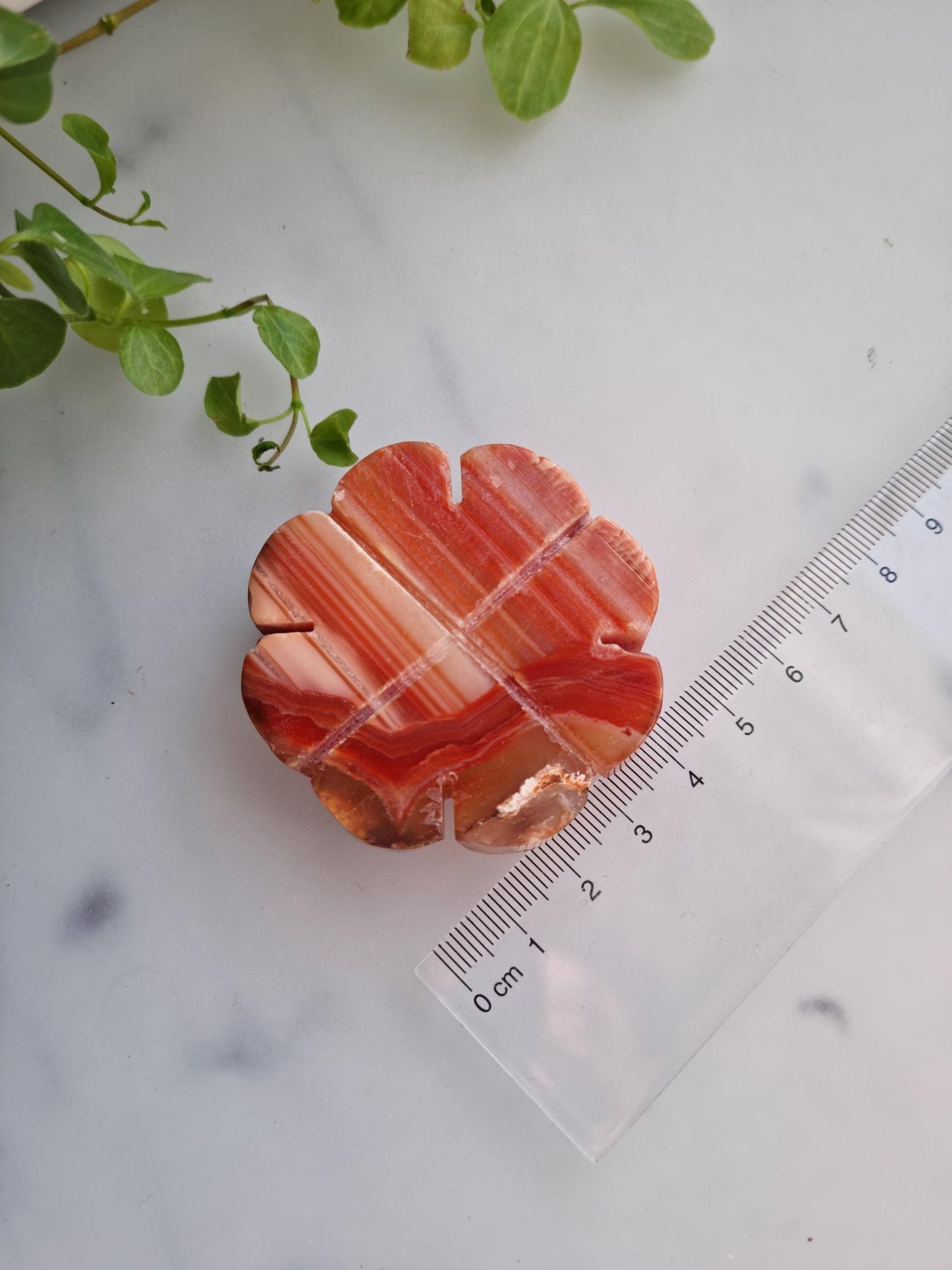 Beautiful Banded Carnelian Clover Carving, Imperfect