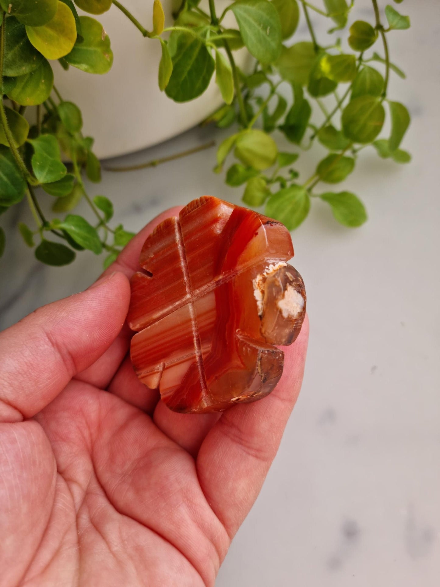 Beautiful Banded Carnelian Clover Carving, Imperfect