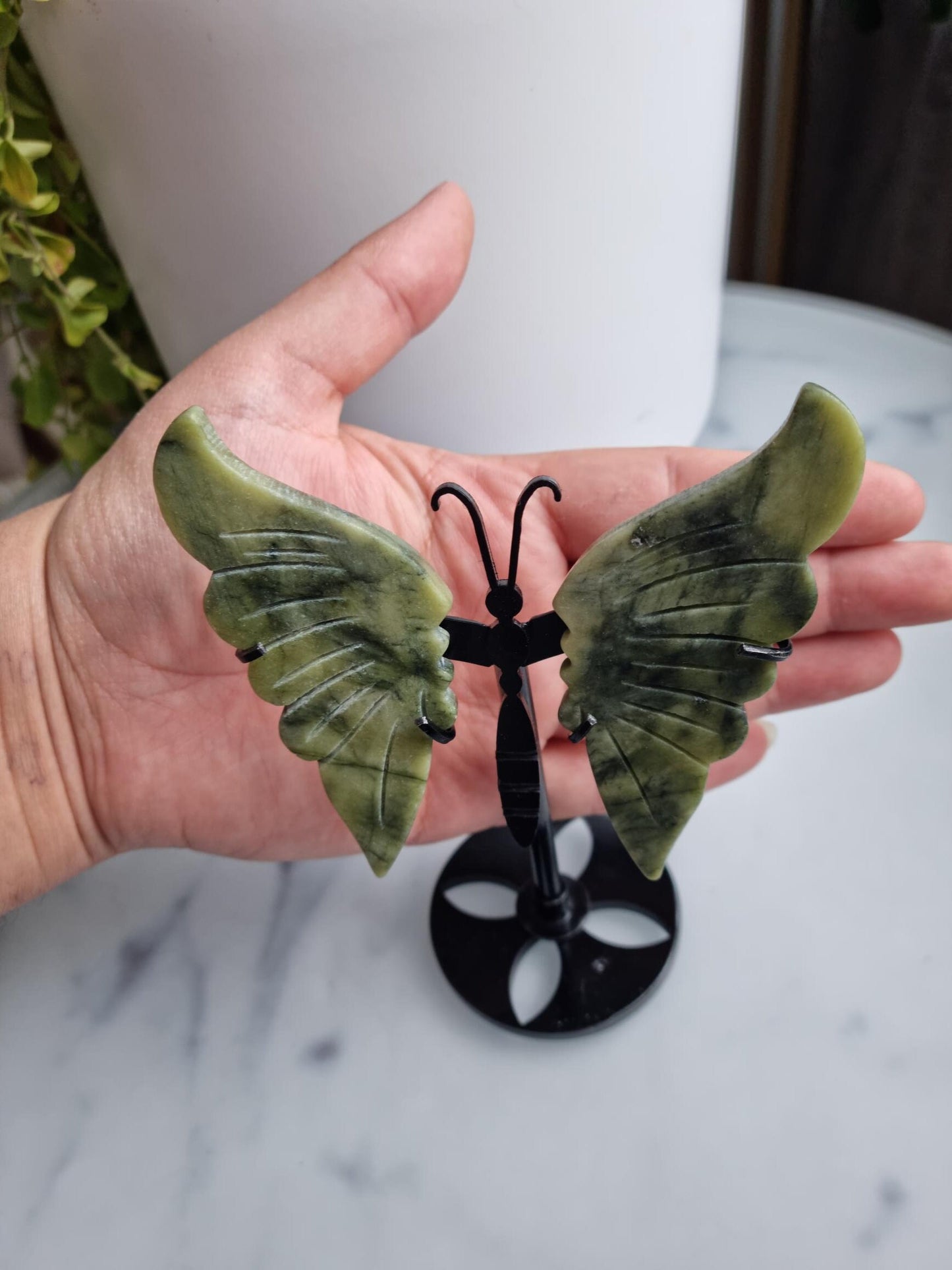 Gorgeous Serpentine Butterfly Wings on a Stand