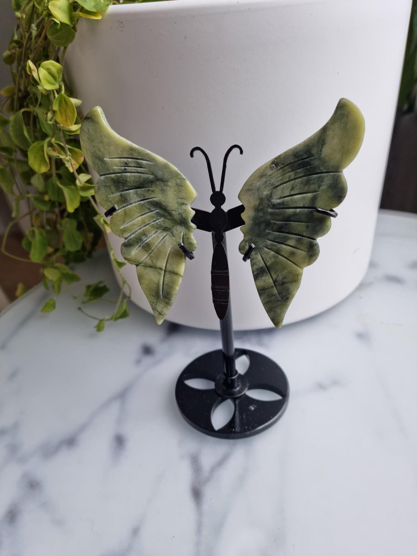 Gorgeous Serpentine Butterfly Wings on a Stand