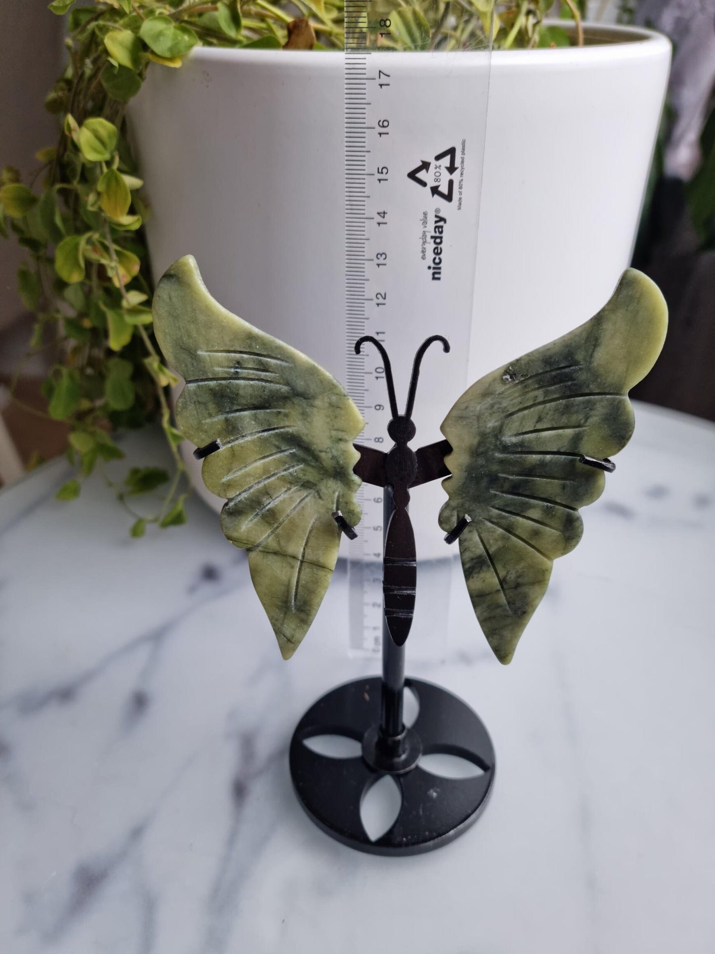 Gorgeous Serpentine Butterfly Wings on a Stand