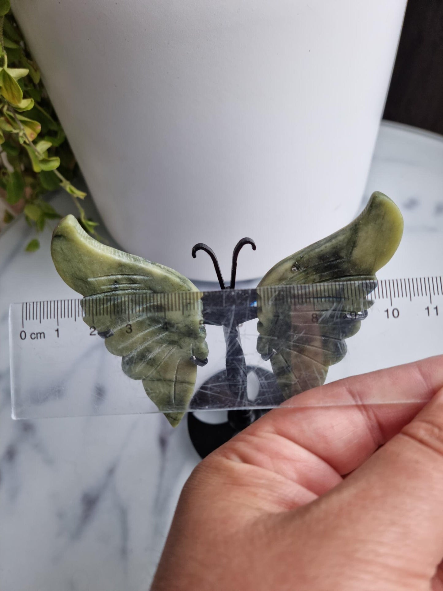 Gorgeous Serpentine Butterfly Wings on a Stand