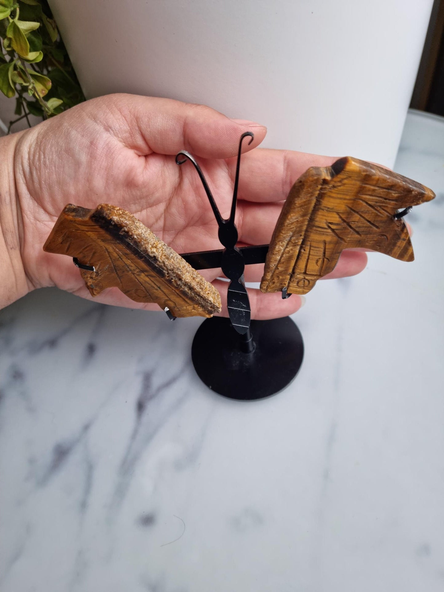 Tiger's Eye Butterfly Wings on A Stand, (Imperfect)
